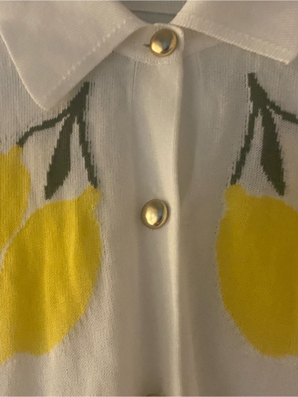 Free Assembly Lemon Print Cardigan Sweater - Picture 4 of 9